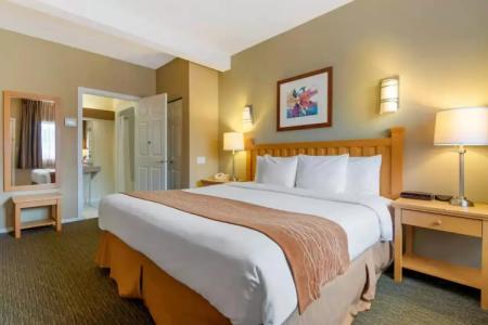 Econo Lodge Inn & Suites - North Vancouver - 102