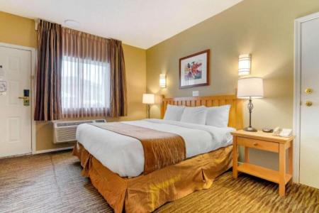 Econo Lodge Inn & Suites - North Vancouver - 127