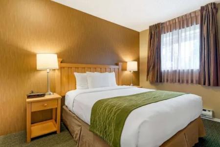 Econo Lodge Inn & Suites - North Vancouver - 145