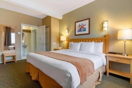 Econo Lodge Inn & Suites - North Vancouver - 123