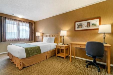 Econo Lodge Inn & Suites - North Vancouver - 120