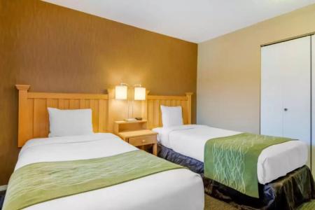 Econo Lodge Inn & Suites - North Vancouver - 140