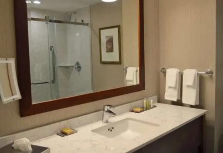 DoubleTree Fallsview Resort & Spa by Hilton - Niagara Falls - 7