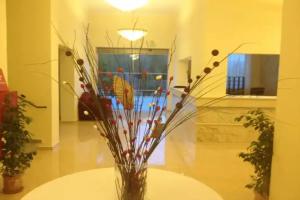 Hotel «AMALIA», Dassia