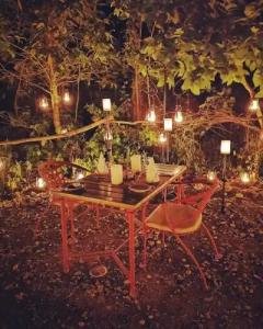 Barahi Jungle Lodge - 12