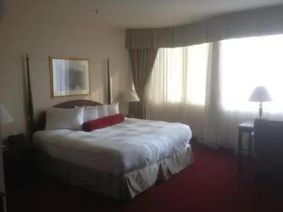 Chrome Montreal Centre-Ville - 26