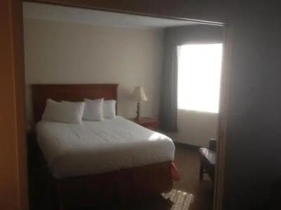 Chrome Montreal Centre-Ville - 27