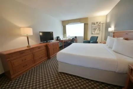 Universel Montréal - 65