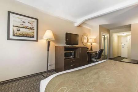 Comfort Suites Downtown - 42