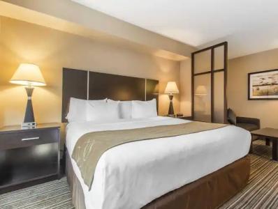 Comfort Suites Downtown - 40