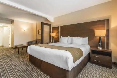 Comfort Suites Downtown - 45