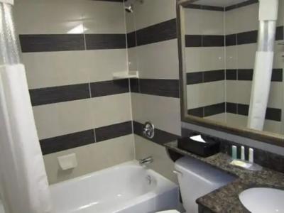 Comfort Suites Downtown - 3