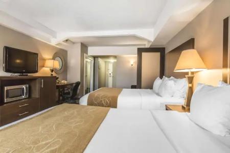 Comfort Suites Downtown - 28