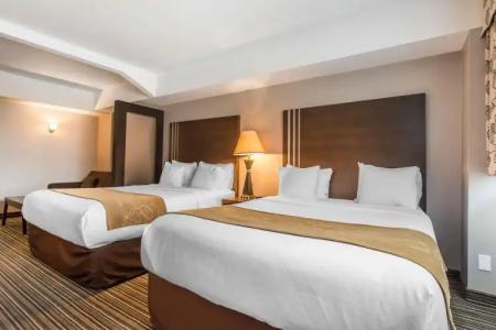 Comfort Suites Downtown - 26