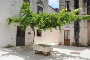 Corte Terrasignura, Presicce