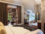 Luxury Suite