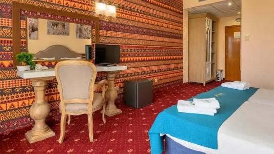 Allegra Balneo & SPA - 85