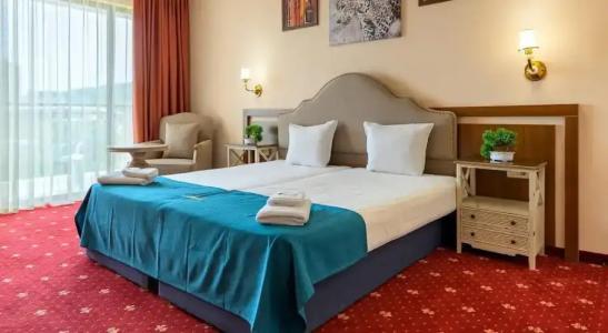 Allegra Balneo & SPA - 86