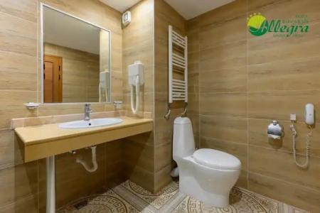 Allegra Balneo & SPA - 79