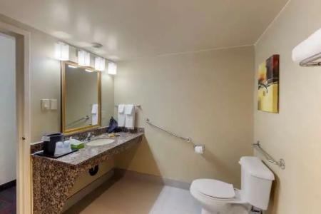 Best Western Plus Toronto Airport - 36