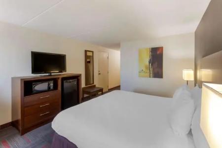 Best Western Plus Toronto Airport - 6