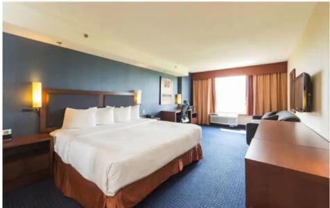 Quality Inn & Suites - 58