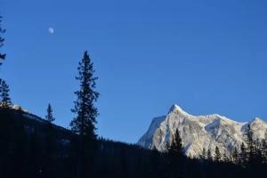Yoho Chalets, Golden