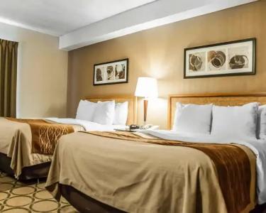 Comfort Inn Laval - 2