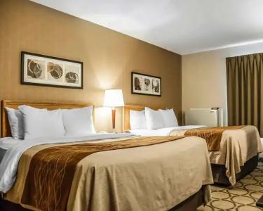 Comfort Inn Laval - 3