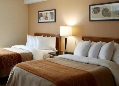 Comfort Inn Laval - 2