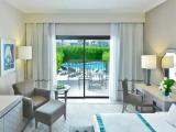 Superior Swim Up room