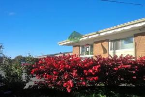 Lord Nelson Motel, Kingston