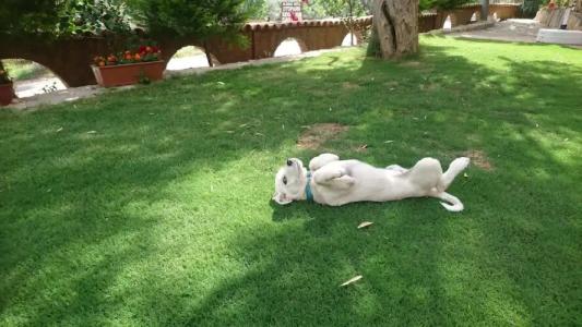 Şirince Klaseas&Restaurant - 43