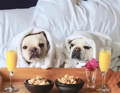 The Plymouth South Beach - 11