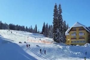 Burg Hotel, Feldberg