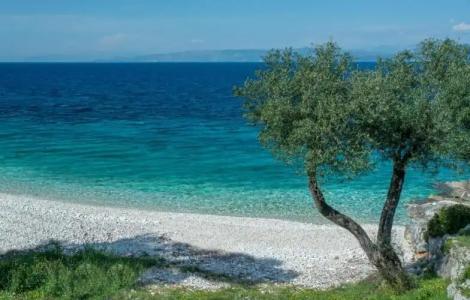 Anassa Mare Villas & Residences - 151