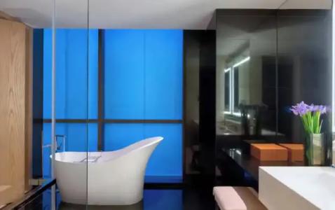 Four Seasons Dubai International Financial Centre - 176