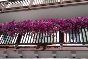 Hotel Primula, Campitello di Fassa