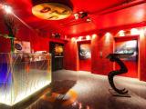 Executive Double Suite