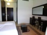 Standard Double room with balcony and with sea view