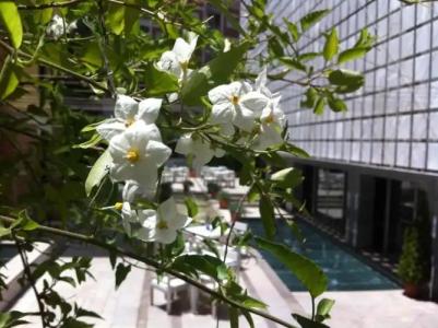 Hospes Palacio de los Patos, a Member of Designs - 42