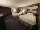 Standard Double room with courtyard view