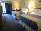 Standard room with view