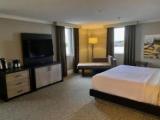 Suite with river view
