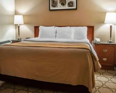 Comfort Inn Fredericton - 4