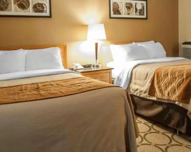 Comfort Inn Fredericton - 6