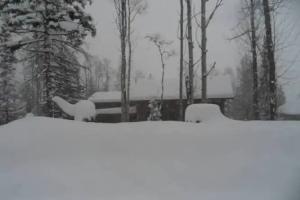 Twisted Timber Guest House, Fernie