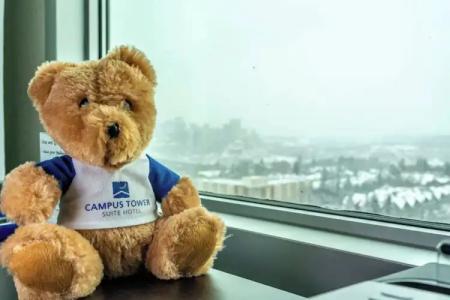 Campus Tower Suite - 35