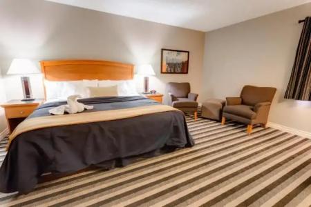 Quality Inn West Edmonton - 82