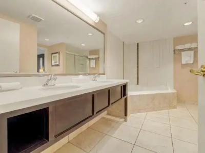 Holiday Inn Conference Centre Edmonton South, an IHG - 71